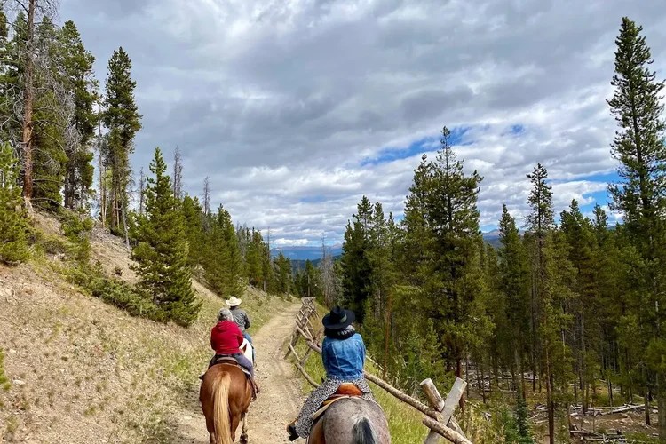 Horseback Riding