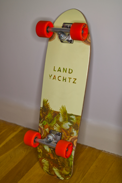A cruiser skateboard (Landyachtz Dinghy) against a wall with a blurred background