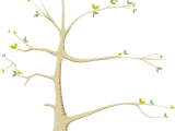 Learn From Nature First Peoples Principles Leaf Learning