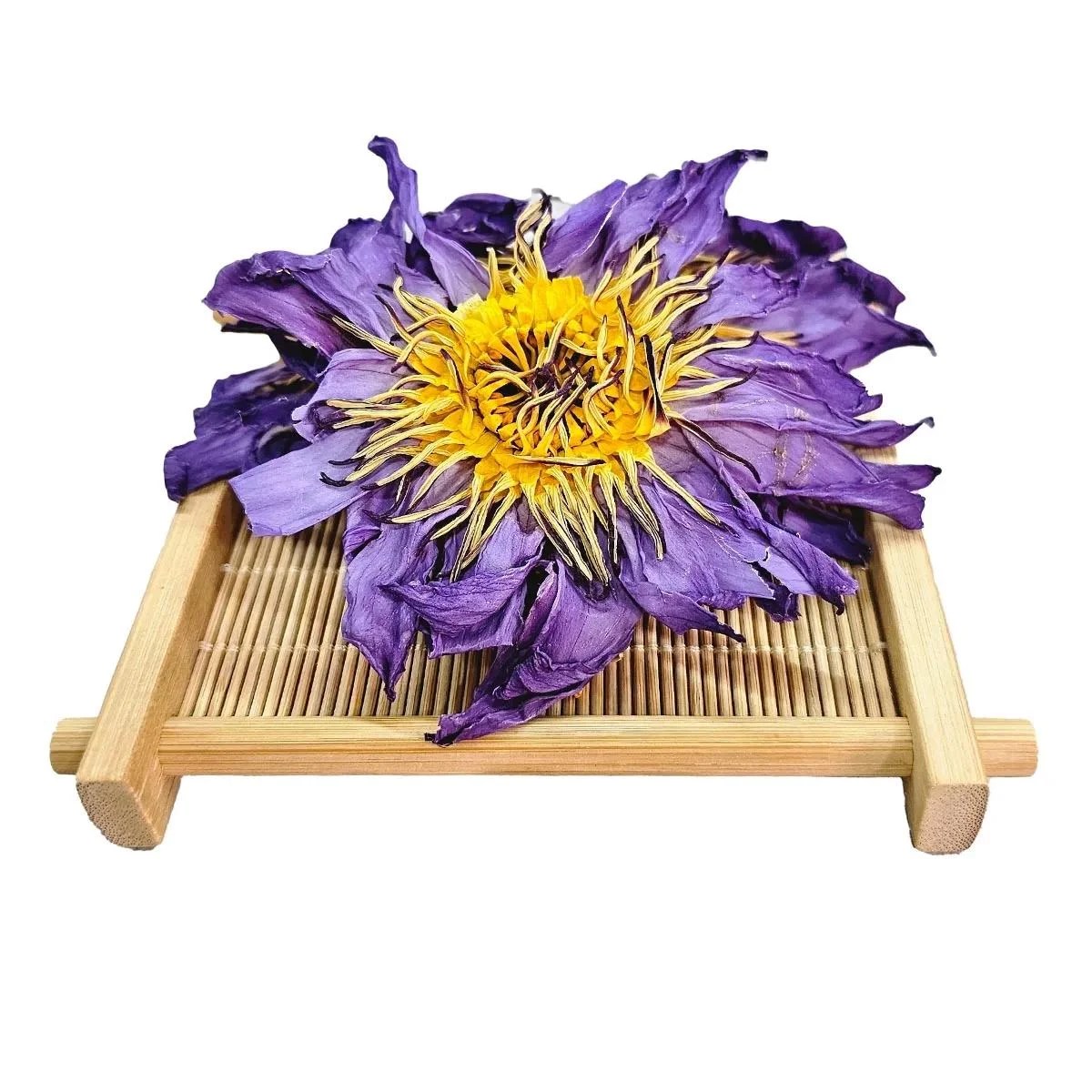 Blue lotus flowers supplier Sri Lanka: dried Egyptian blue lotus flower with golden centre