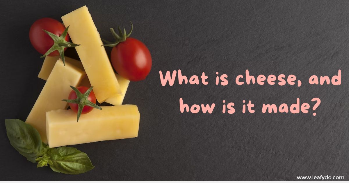 Where does Tillamook Cheese come from? Tracing its Beginnings!