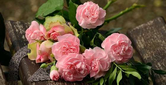 Flowers play a big role in our lives. The Most Popular Flowers In The World With Name And Picture