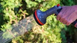 How to protect plants from frost (and how to cover plants for frost)