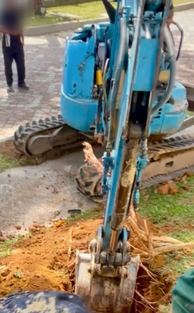 Appointed contractor carrying out controlled excavation in the investigated area.