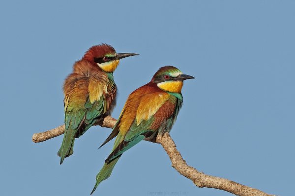 Gruccioni, bellezze dei nostri territori