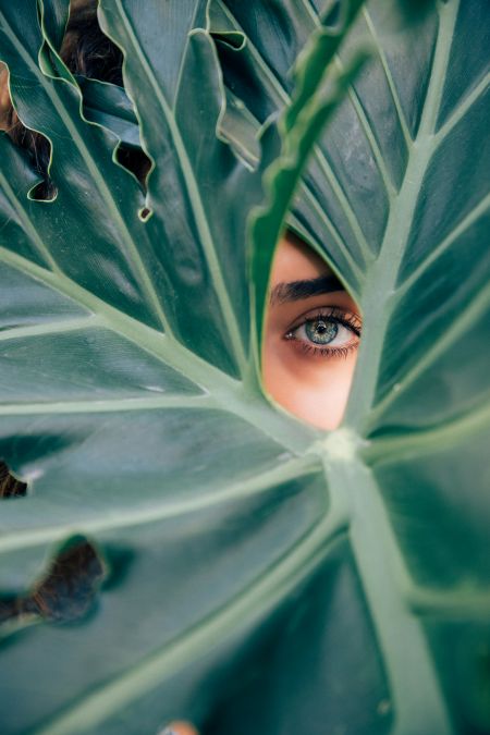 WHERE’S YOUR FOCUS?