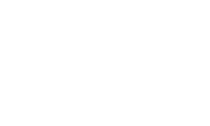 LeanIX-Logo