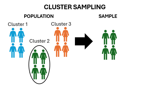 Cluster sampling example