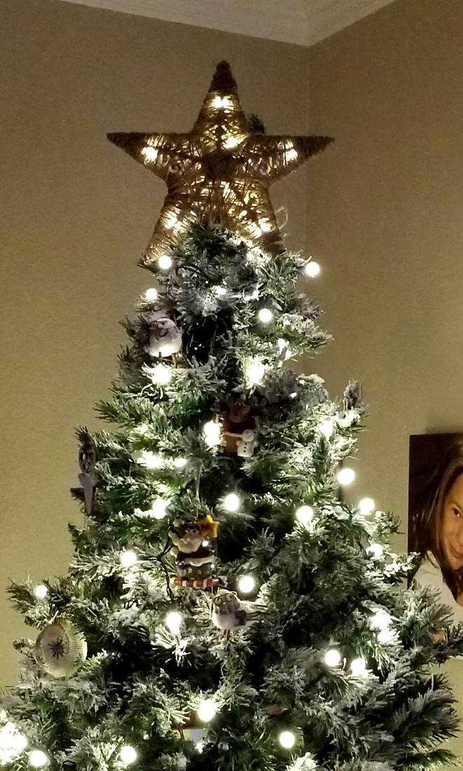 Cover Image of the Post