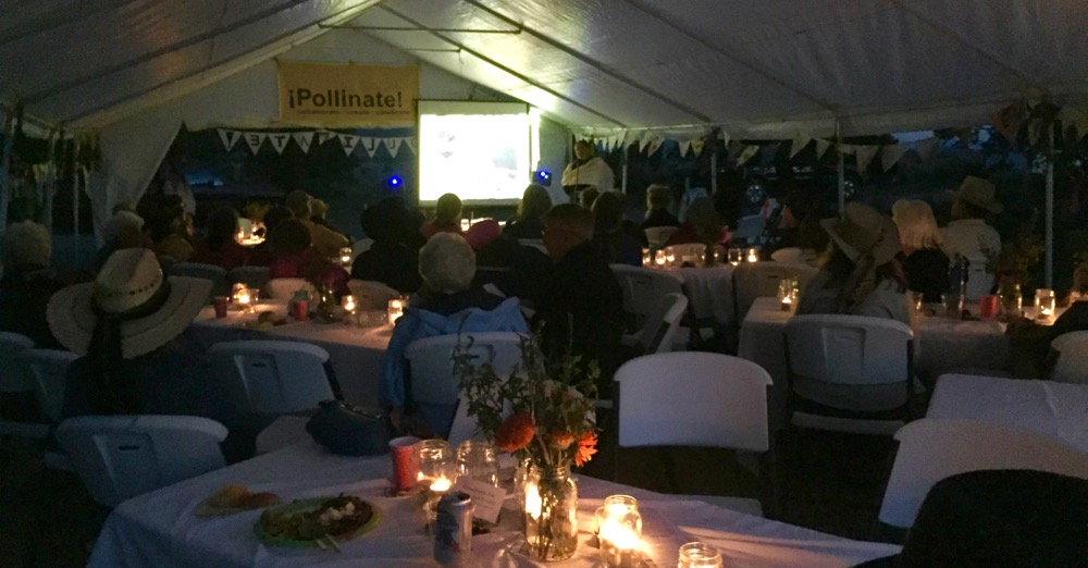 NeoRio Artist Talks 2016