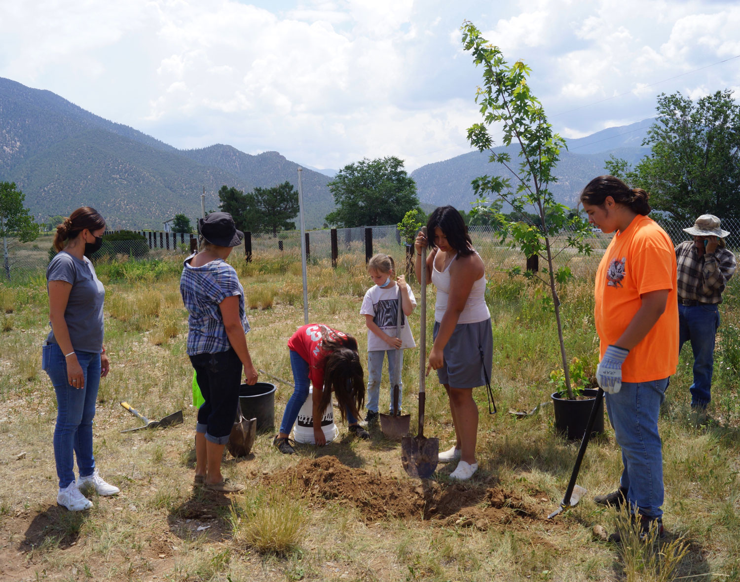 Group planting Maple tree near the park swings for future shade, photo by Claire Coté