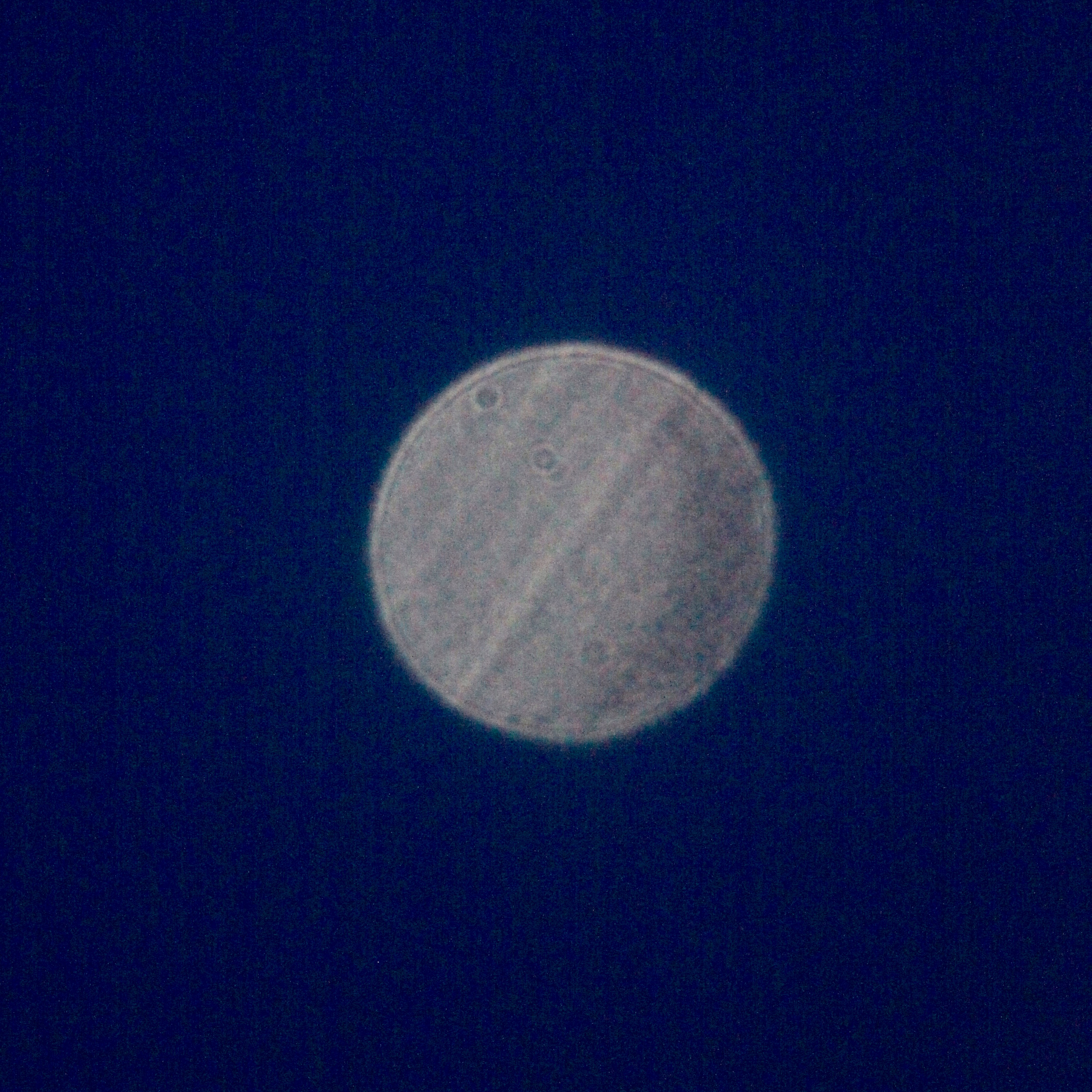 Venus - 8th April 2020