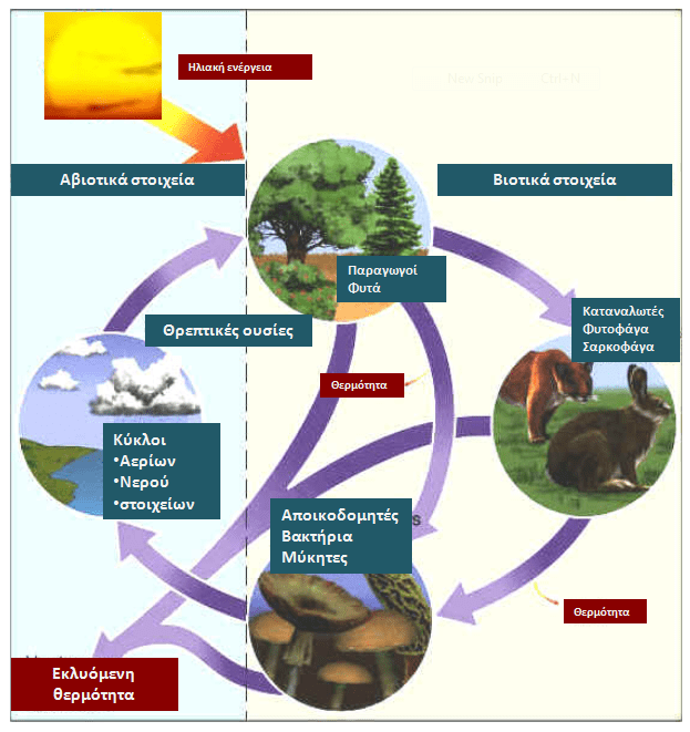 Î£ÏÎµÏÎ¹ÎºÎ® ÎµÎ¹ÎºÏÎ½Î±