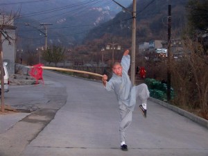 apprendre le kung fu