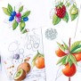 Expressive Fruits With Markers | Learn.bravebrushes.com