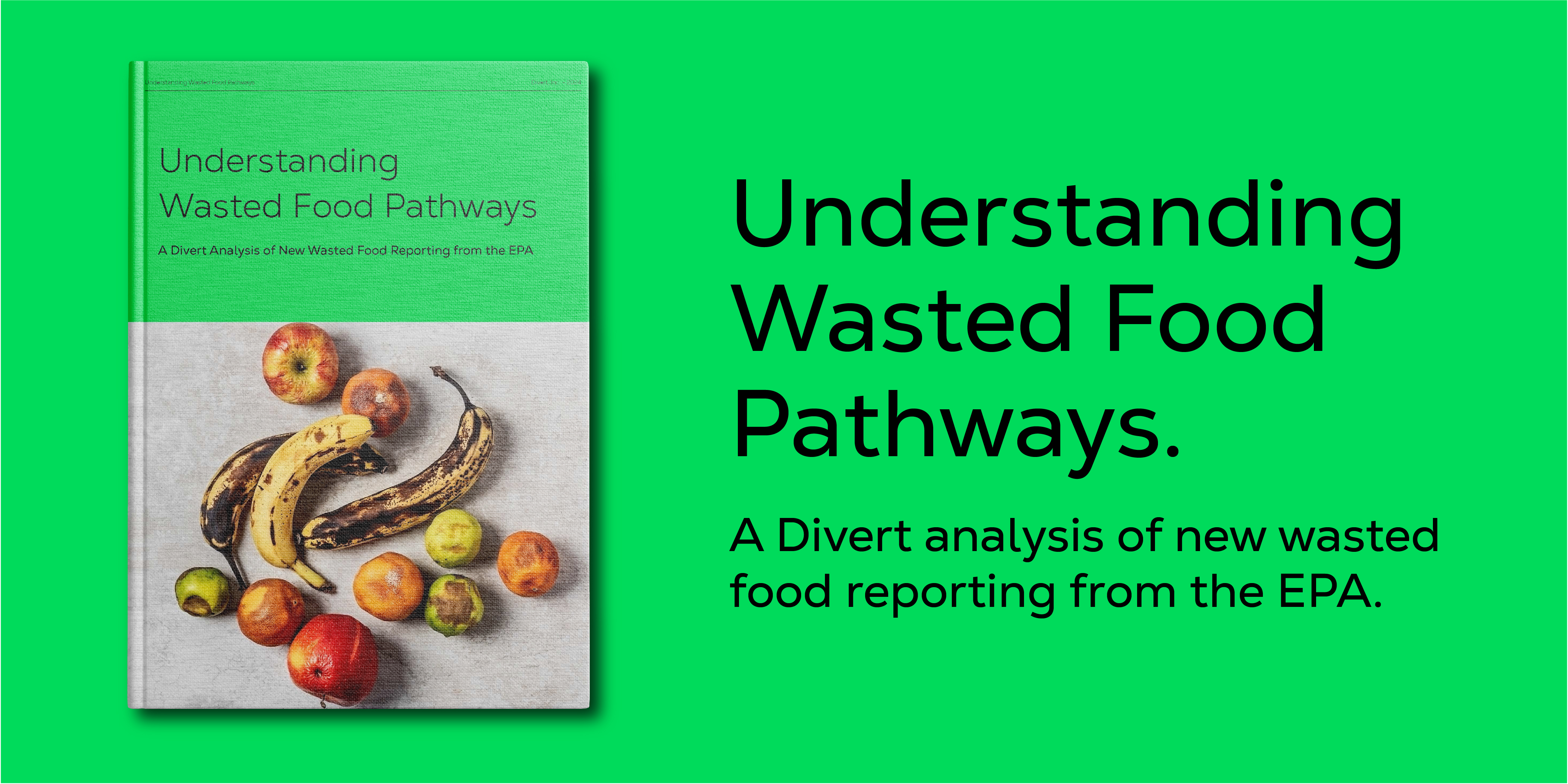 Divert Hosts Roundtable On Wasted Food Regulations - Sunset Background Collection - Full HD Quality