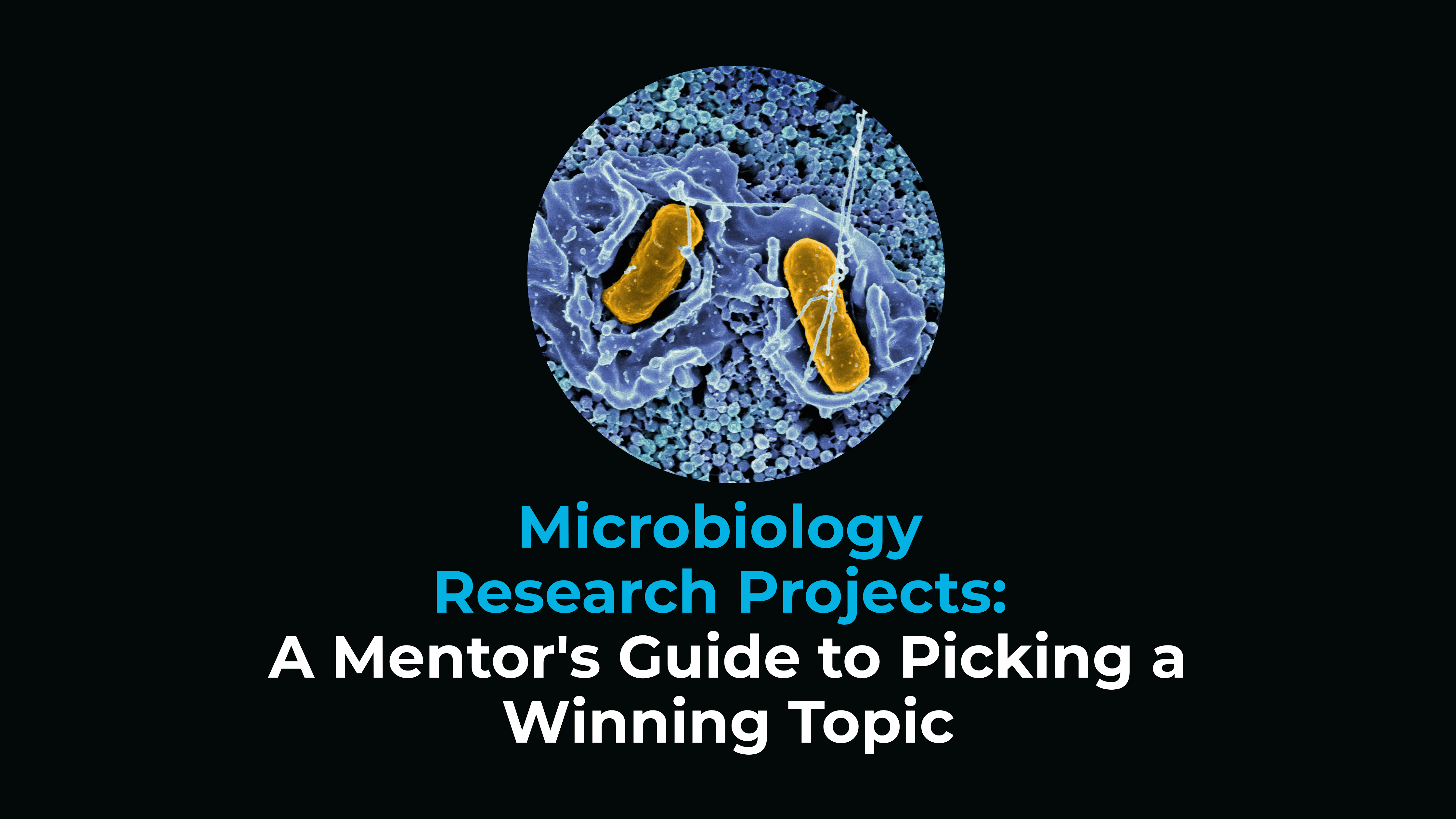 Microbiology Research Topics: A Guide to Picking a Winning One, Approved by a PhD Mentor