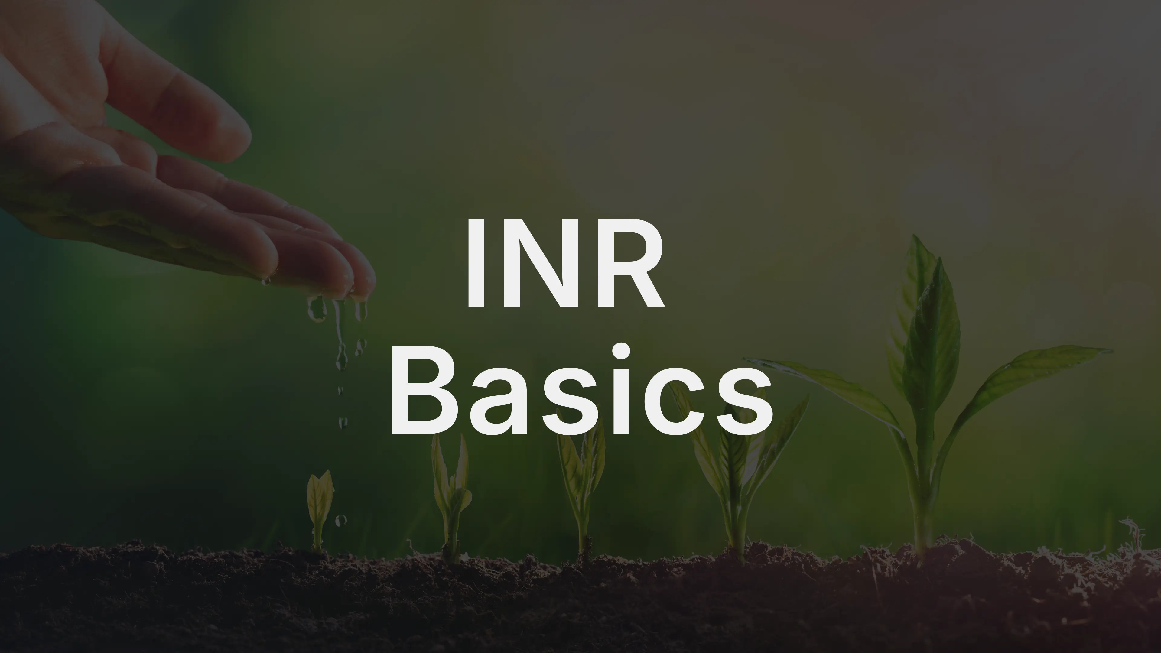 INR Basics