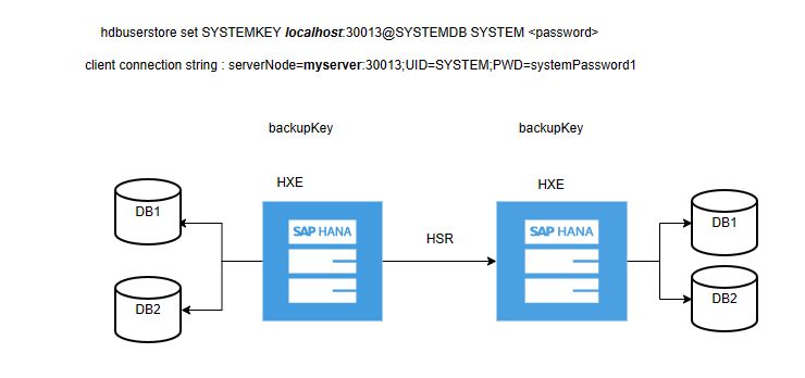 Back And Restore For Hana System Relication Pdf Backup Replication Computing - Premium Ocean Pattern Gallery - 4K