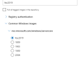 Run Your First Windows Container Microsoft Learn