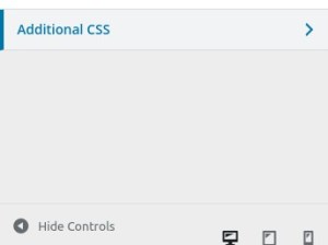 Additional CSS in customizer