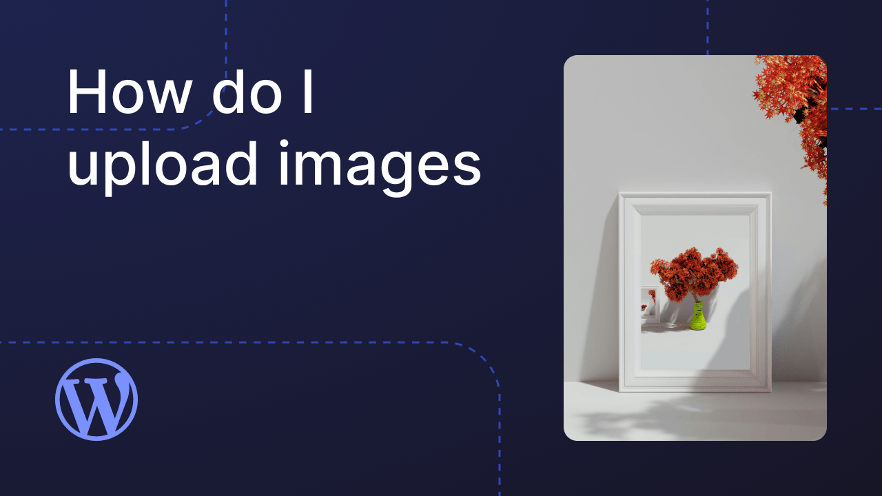 Adding & Removing Media