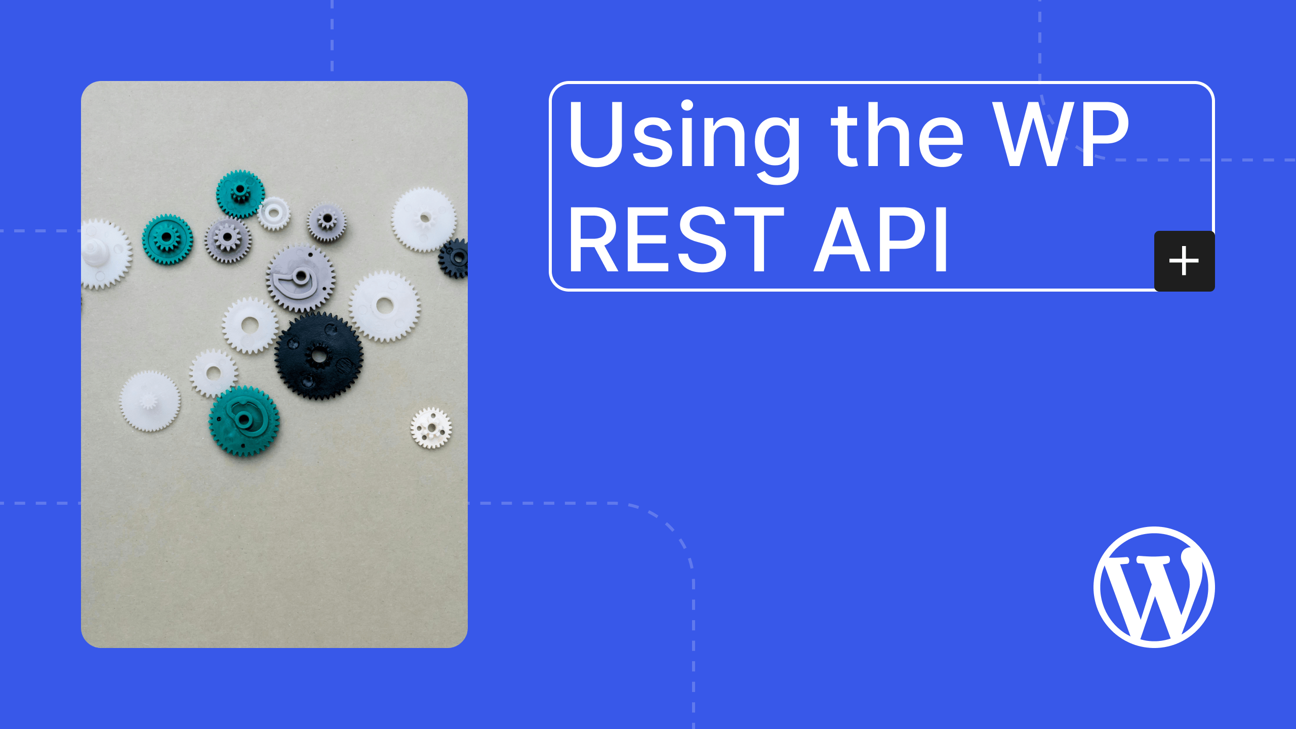 Using the WP REST API