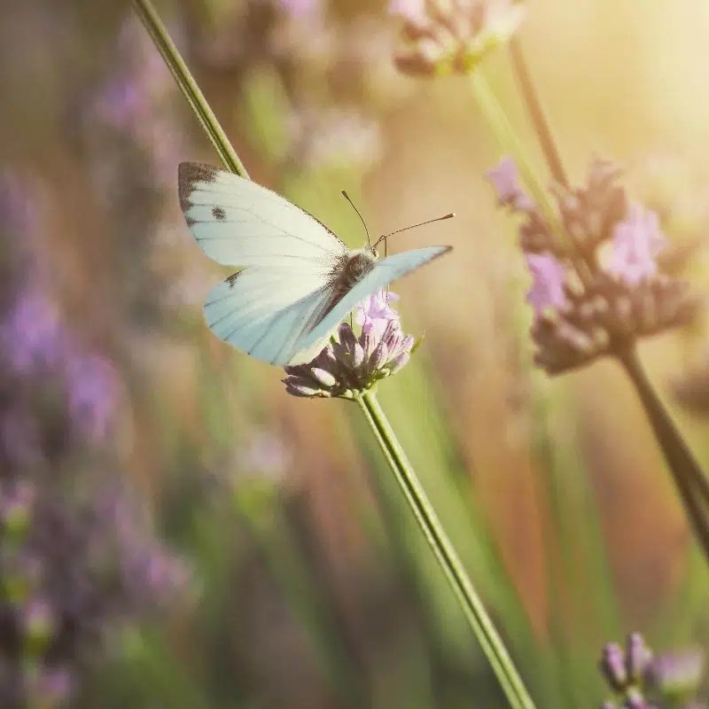 49 | Learn Photography By Zoner Studio