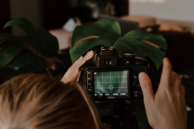 The Role of Professional Photography in Social Media Success