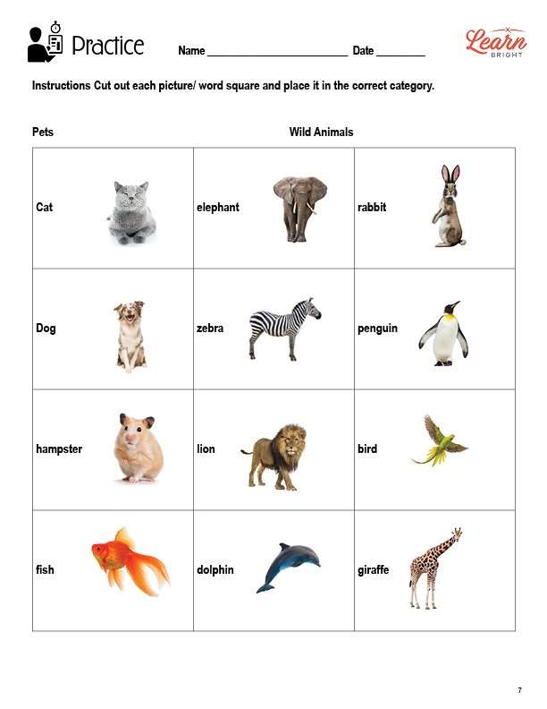 Preschool kindergarten 1st grade 2nd grade 3rd grade. Categorizing Words Free Pdf Download Learn Bright