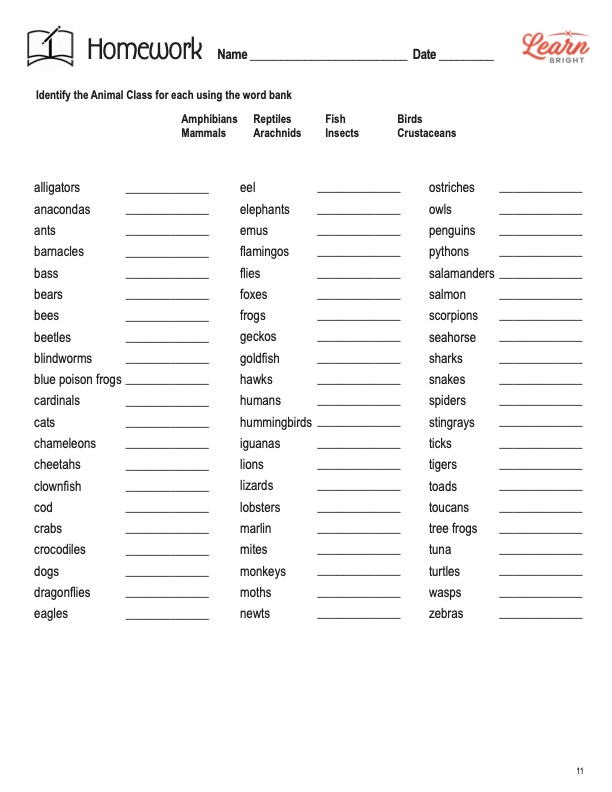 animal classification free pdf download learn bright