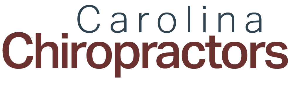 learnchiro.com
