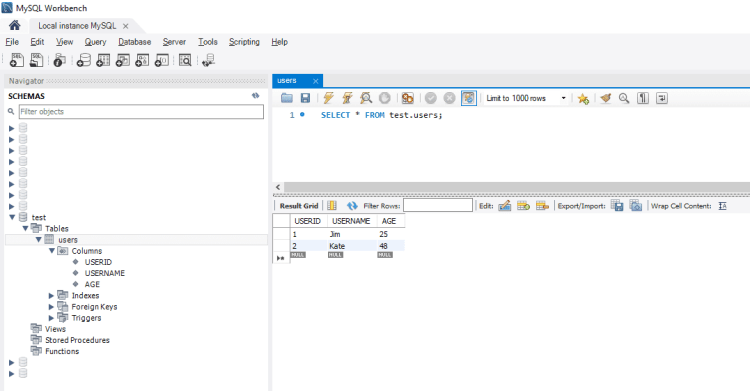 mysqltestschema | Learn C++ How Do I Easily Connect To A MySQL Database In C++ Adding some data to the table