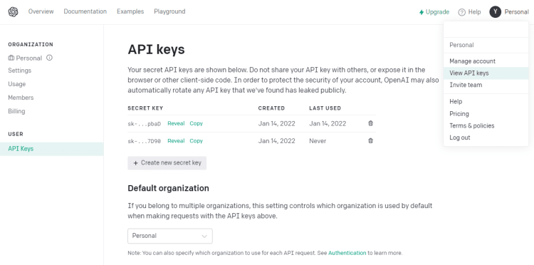 Learn How to Integrate GPT 3 API in C++   how to get the necessary API keys