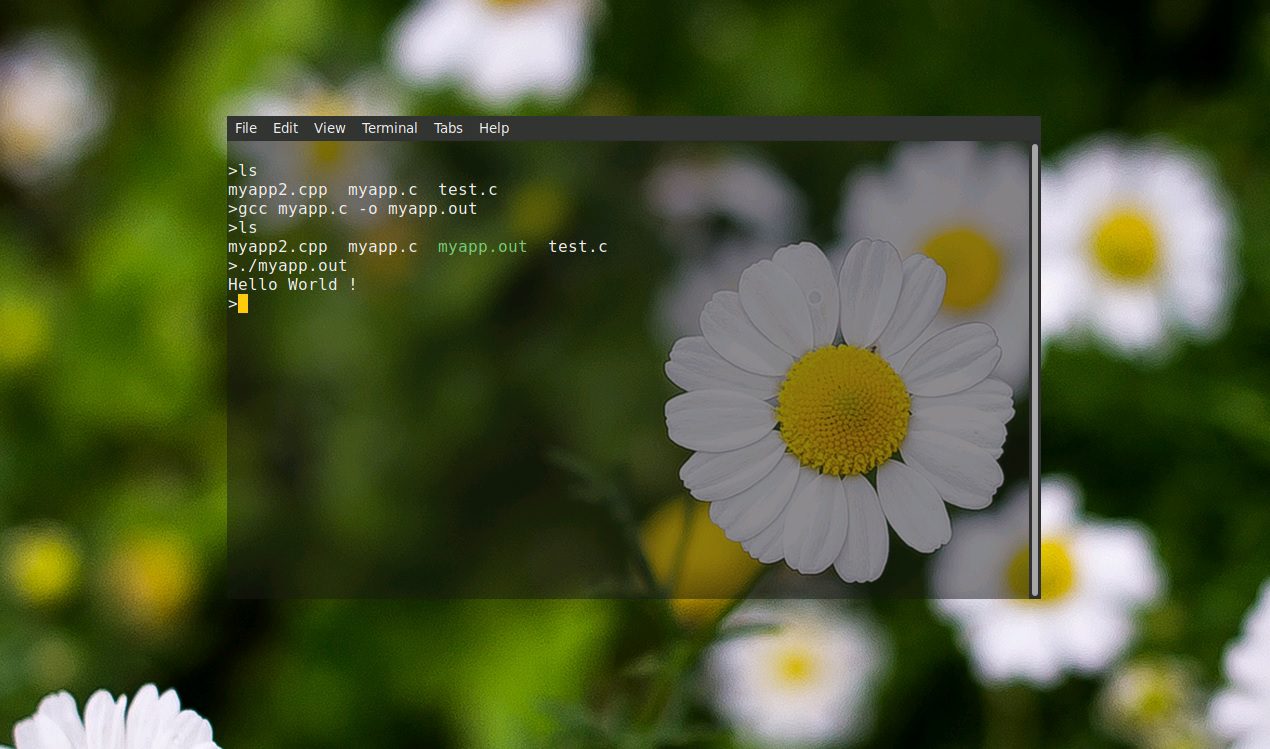 | Learn C++ Which Software Is Used To Run C program and C++ apps on Multi Platform OS A Linux desktop running a C program