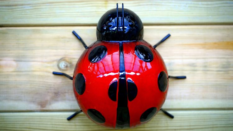 How To Debug A C++ Program An image of an artificial bug