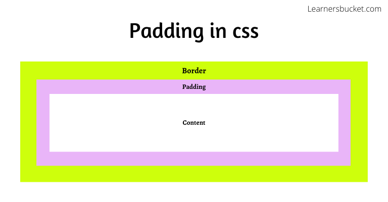 What is padding property of css. - LearnersBucket