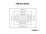 Css Box Model And Layout Learnify