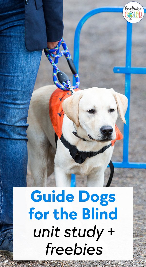 Dogs are some of the most beloved pets for us to have around. Guide Dogs for the Blind Unit Study + Free Printable
