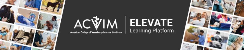 Acvim Vetbloom Partner To Build Elearning Platform Veterinary - Beautiful Full HD Geometric Photos | Free Download