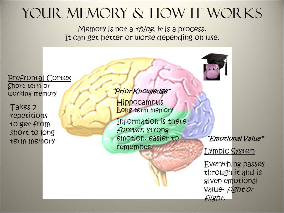 Short term memory