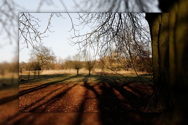 Exceptional Python Dimitri Merejkowsky - Landscape Photos - Stunning High Resolution Collection