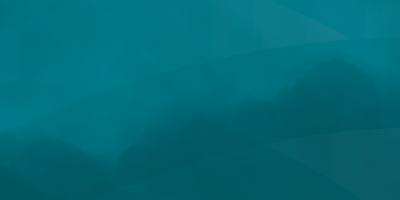 The Internet is the vast connection of networks that enables learners to access data, files, and documents from all over the globe on the World Wide Web.