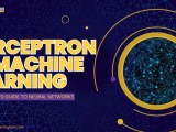 Perceptron In Machine Learning A Beginner S Guide
