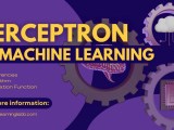 The Perceptron Algorithm In Machine Learning