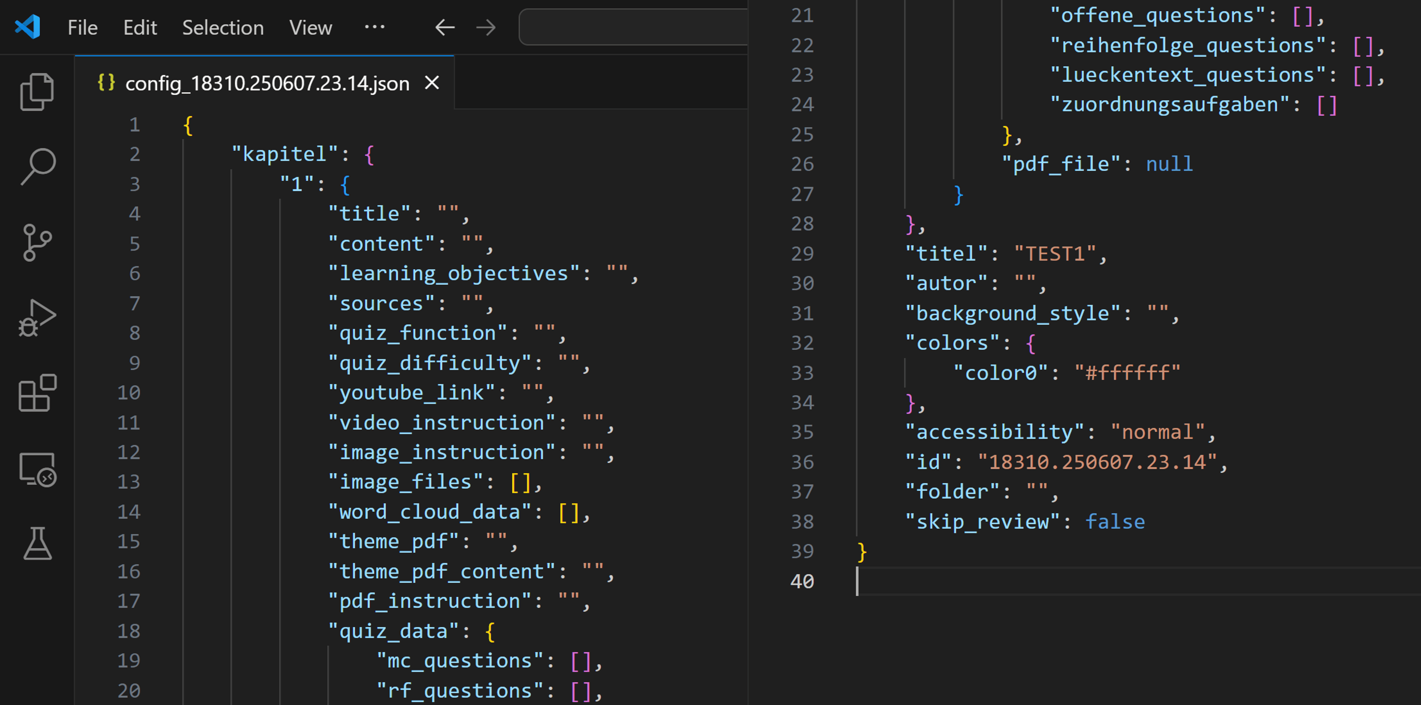 config.json und Metadaten