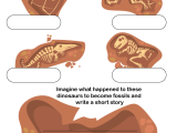 Fossils Learningmole