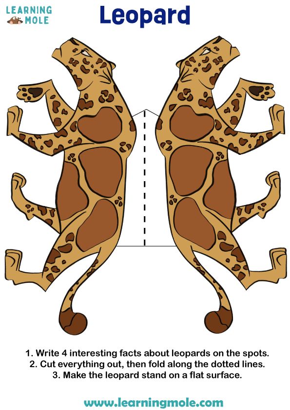 Leopards Reference Sheet By Dragondraws5928 On Deviantart - Premium Space Pattern Gallery - Ultra HD