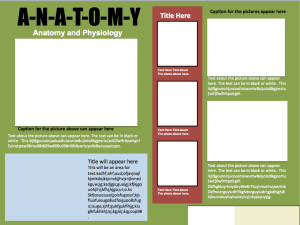 poster template informational samples technology instructional