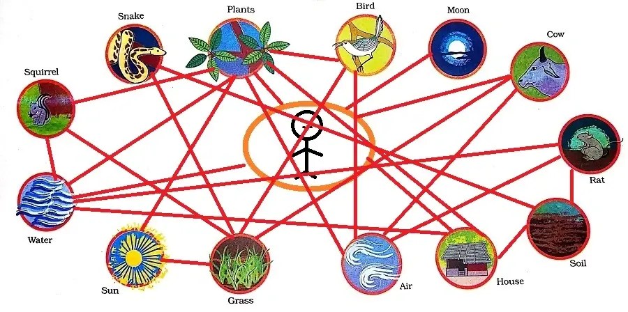Web of Life Class 3 EVS Question Answer - Learn JKBOSE